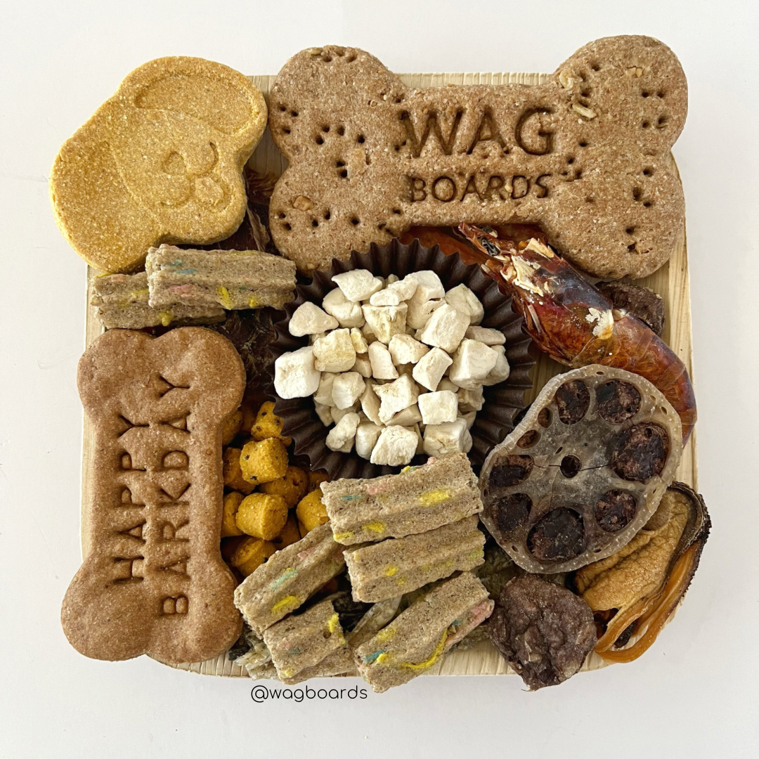 Barkday Wagboard